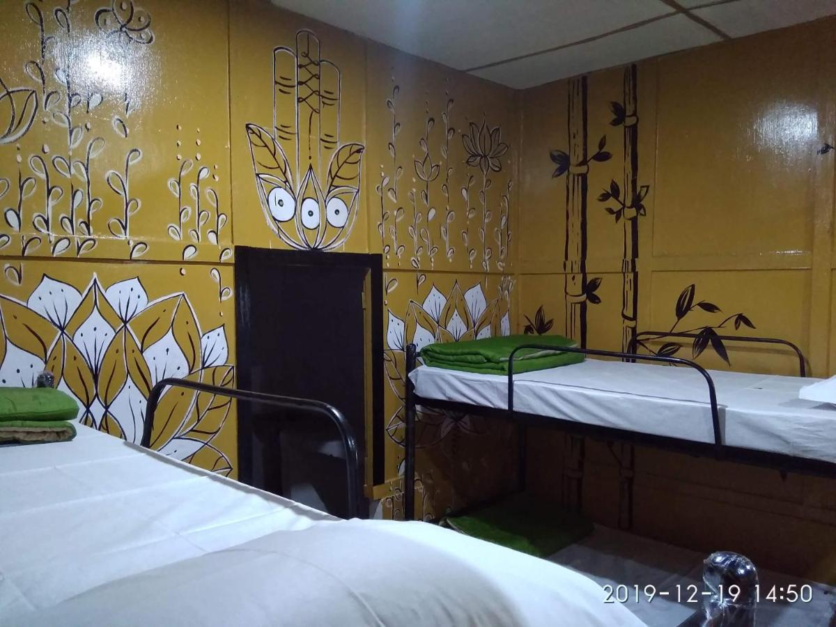 نزل غاواهاتيفي Backpackers'Haven المظهر الخارجي الصورة